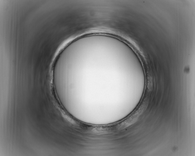 X0000099931366200805230950