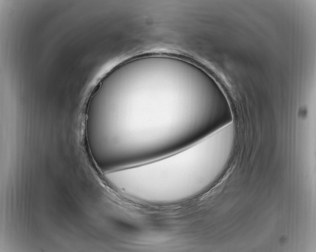 X0000099931367200805230950