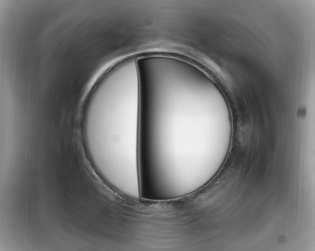 X0000099931368200805230950