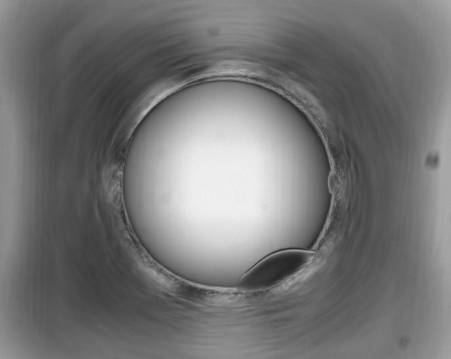 X0000099931369200805230950