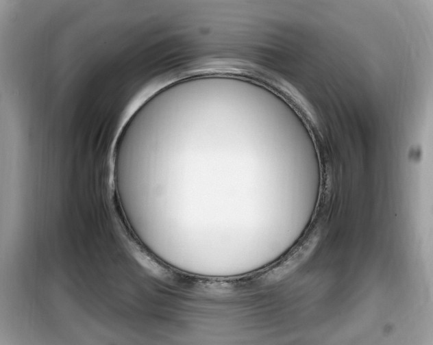 X0000099931370200805230950