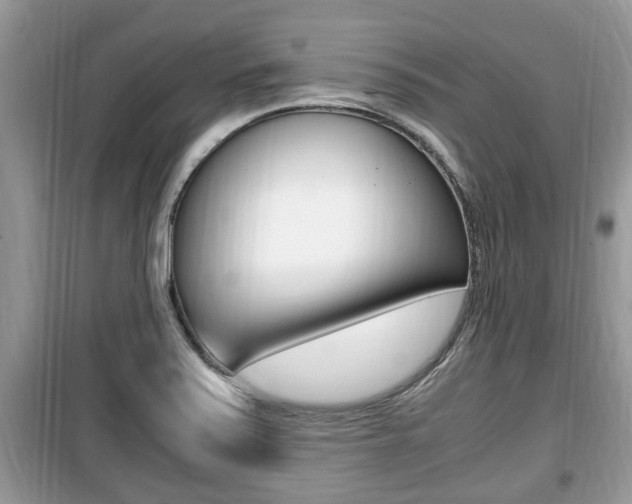 X0000099931371200805230950