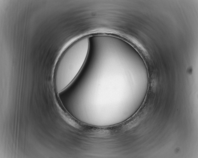 X0000099931372200805230950