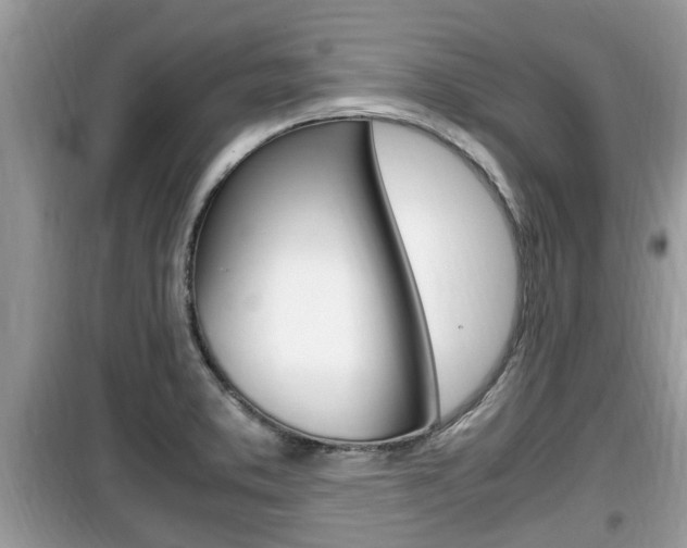 X0000099931373200805230950