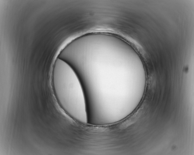 X0000099931374200805230950