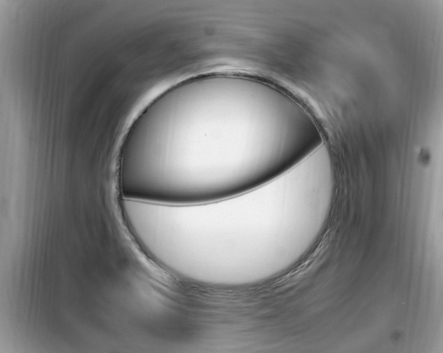 X0000099931375200805230950