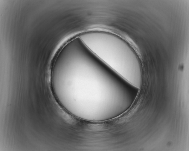 X0000099931376200805230950