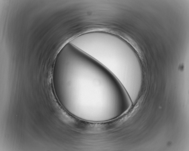X0000099931377200805230950
