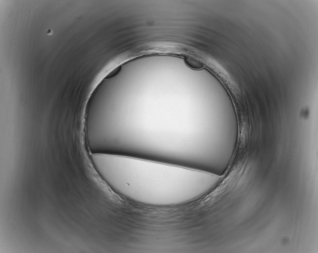 X0000099931378200805230950