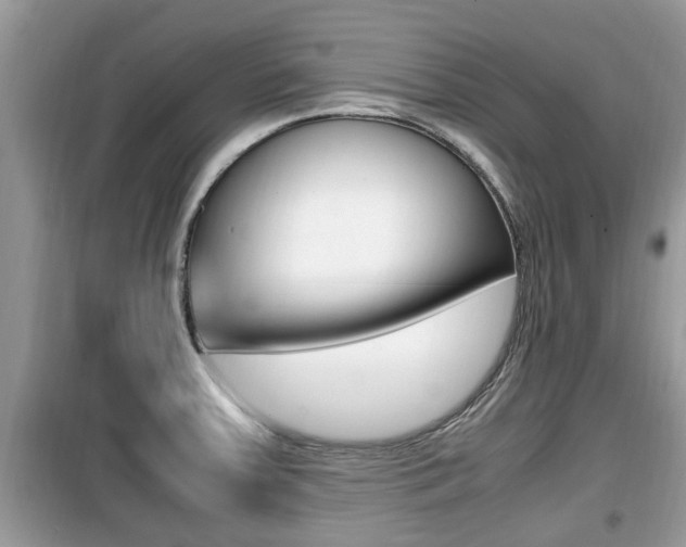 X0000099931379200805230950