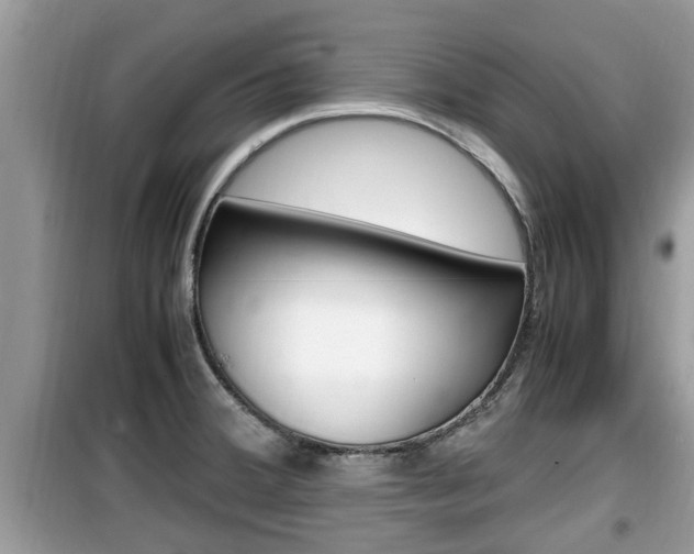 X0000099931380200805230950