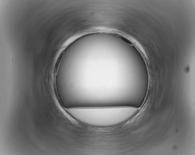 X0000099931381200805230950