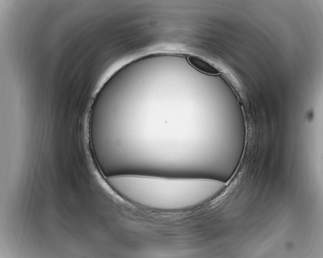 X0000099931382200805230950