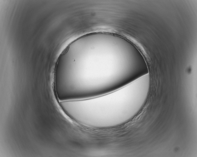 X0000099931383200805230950