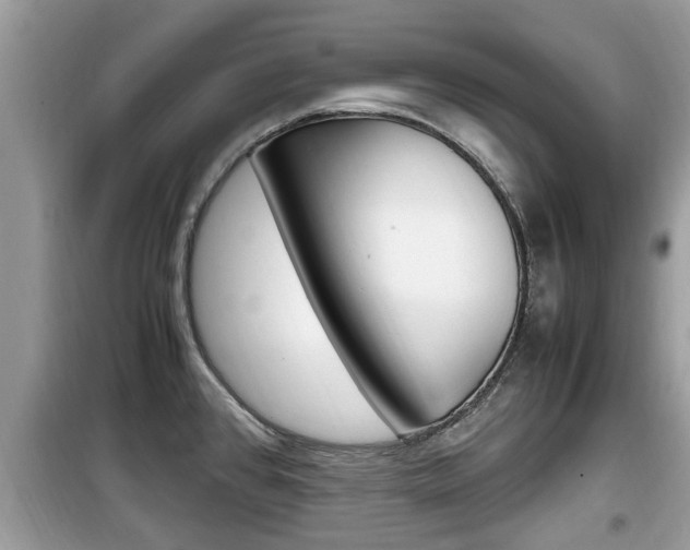 X0000099931384200805230950