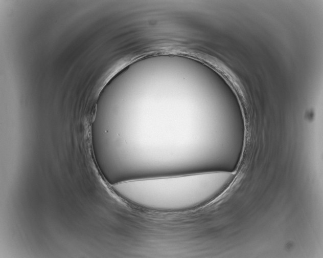 X0000099931385200805230950
