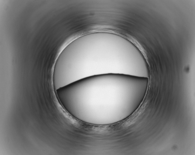 X0000099931386200805230950