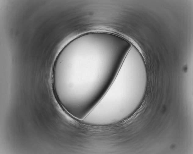 X0000099931387200805230950