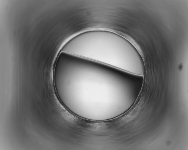 X0000099931388200805230950