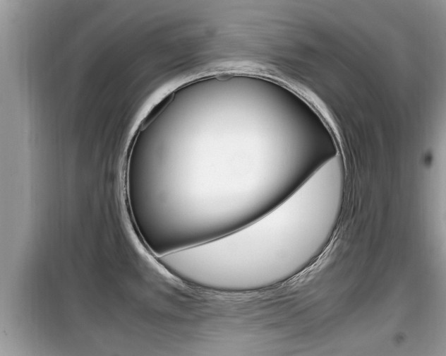 X0000099931389200805230950