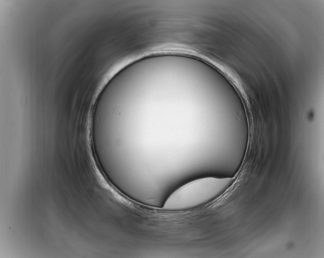 X0000099931390200805230950