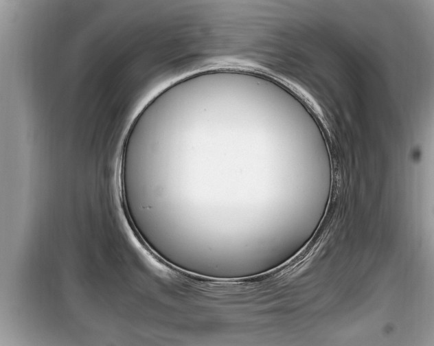 X0000099931391200805230950