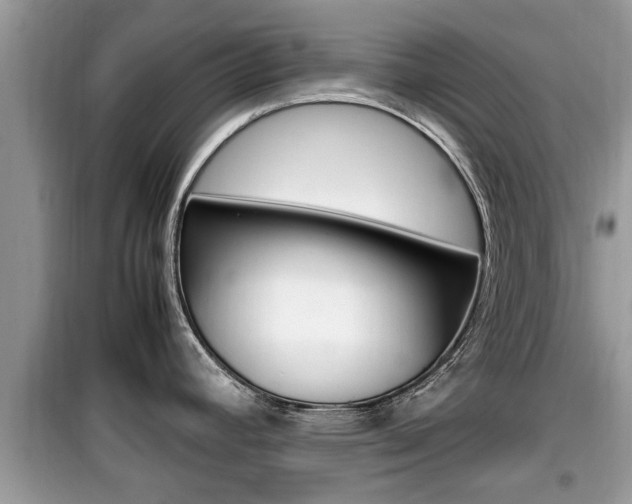 X0000099931392200805230950