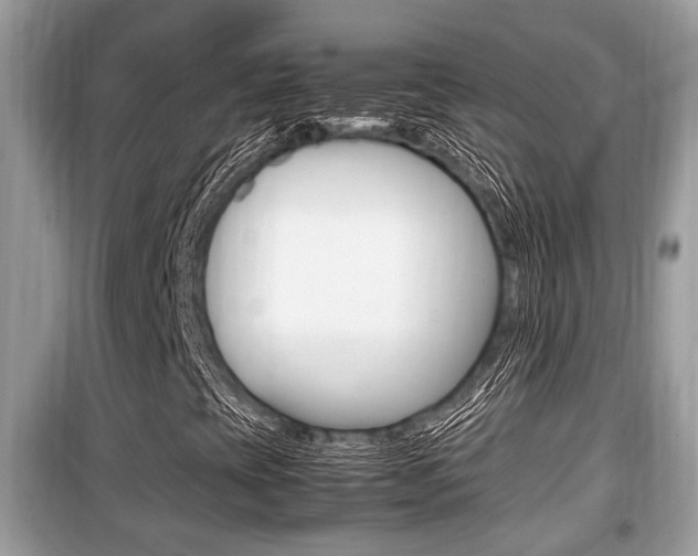 X0000099931393200805230949
