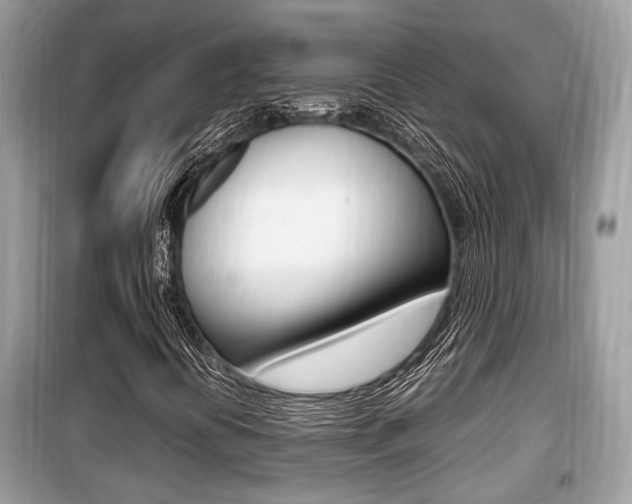 X0000099931394200805230949