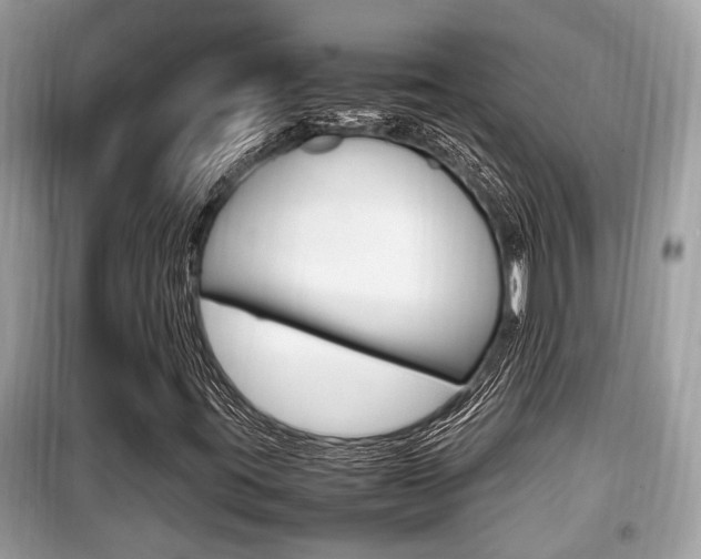 X0000099931395200805230949