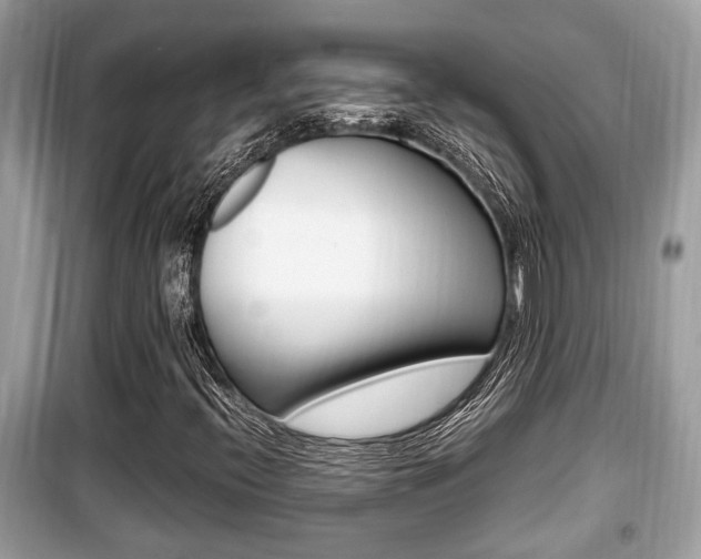 X0000099931396200805230949