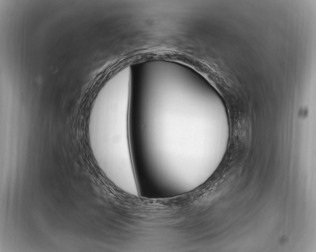X0000099931398200805230949