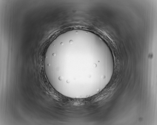 X0000099931399200805230949