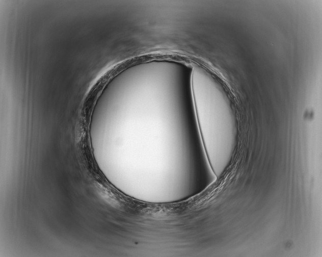 X0000099931400200805230949