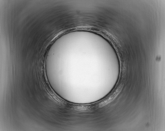 X0000099931401200805230949