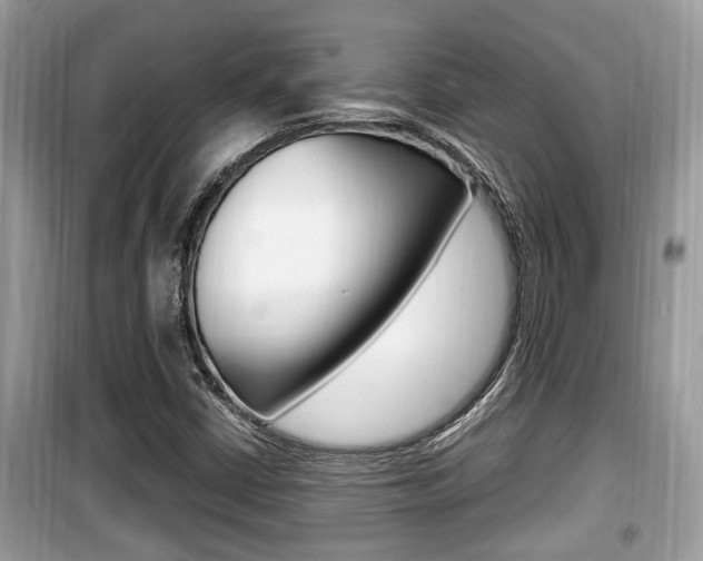 X0000099931402200805230949
