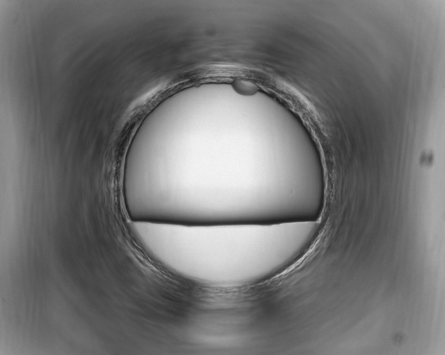 X0000099931403200805230949