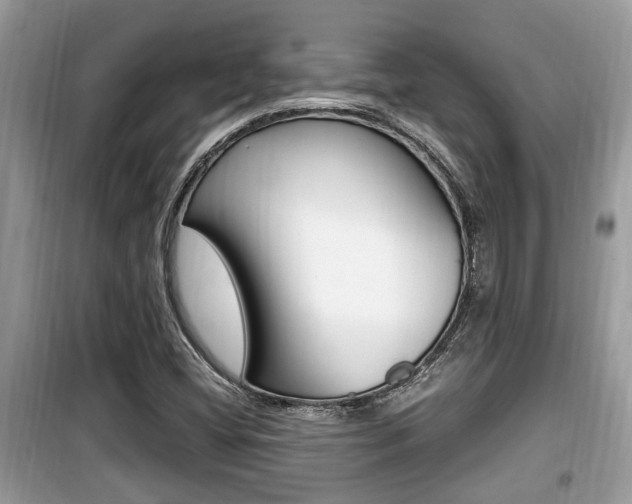 X0000099931404200805230949