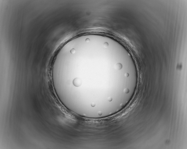 X0000099931405200805230949