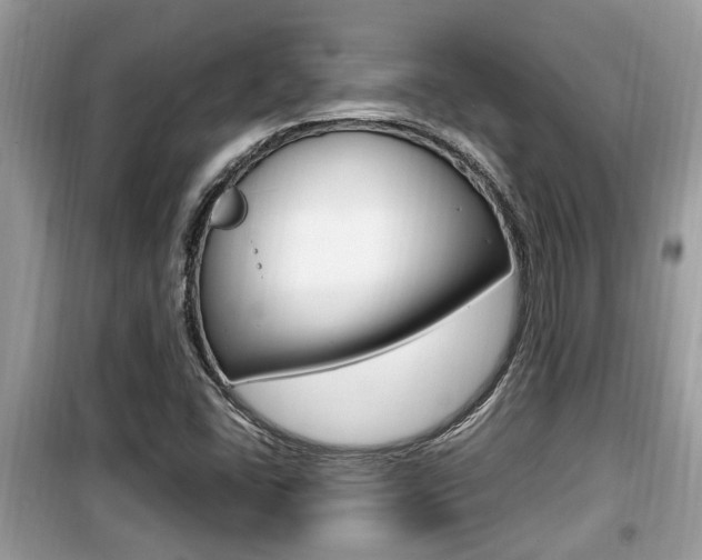 X0000099931406200805230949