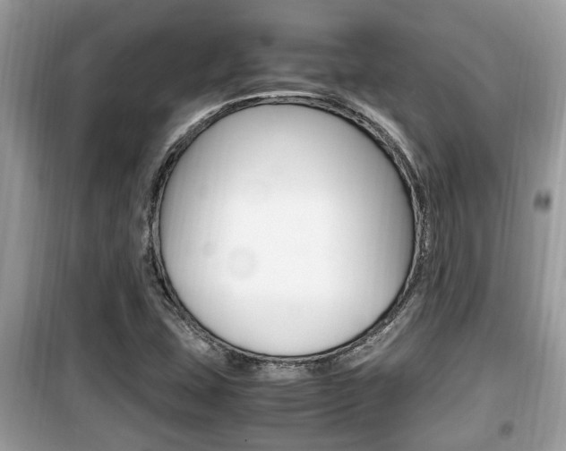 X0000099931407200805230949