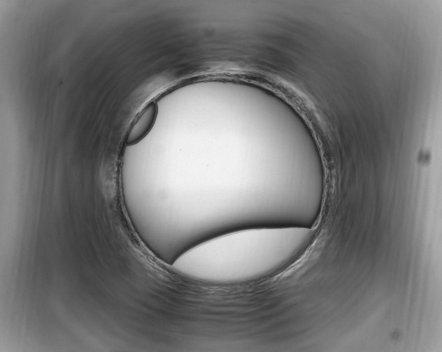 X0000099931409200805230950