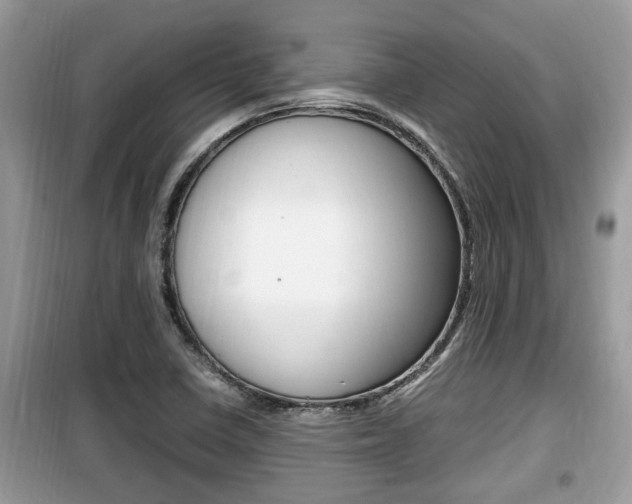 X0000099931410200805230950