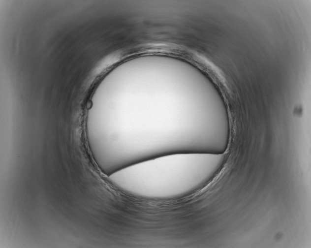 X0000099931411200805230950