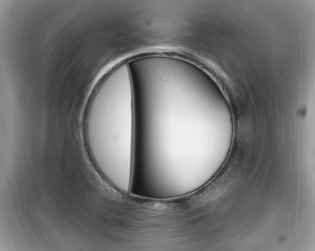 X0000099931412200805230950