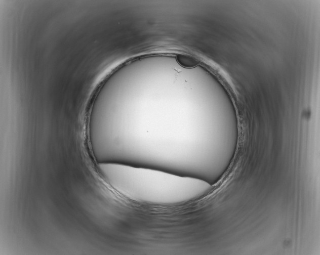X0000099931415200805230950