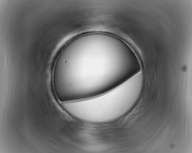 X0000099931416200805230950