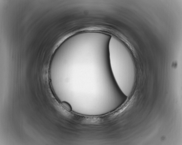 X0000099931417200805230950