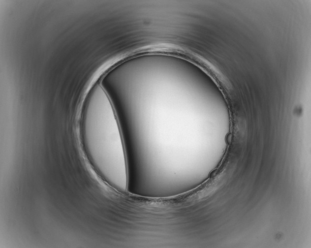 X0000099931418200805230950