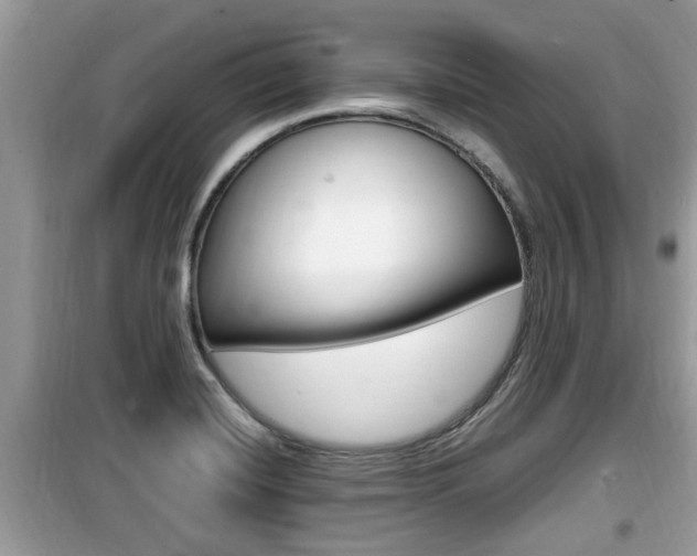 X0000099931420200805230950